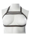 Gender Fluid Silver Lining Harness