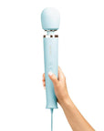 Le Wand Powerful Plug-in Vibrating Massager In Hand