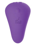 Leaf Plus Spirit W-remote Control
