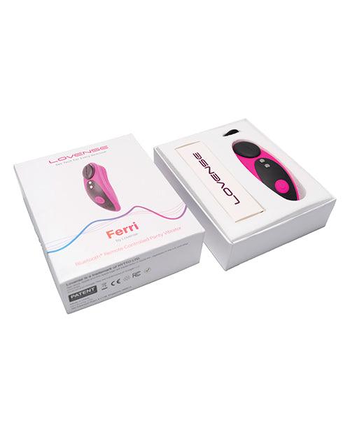 Lovense Ferri Panty Vibe Box