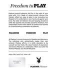 Playboy Pleasure Palm Vibrator - Solo Back of Box