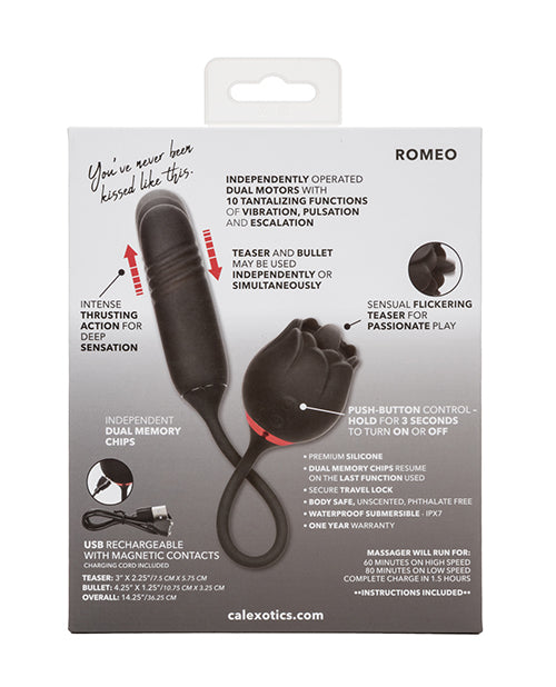 French Kiss Elite Romeo Back of Box