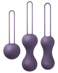 Je-Joue-Ami-Progressive-Pelvic-Weights-Purple