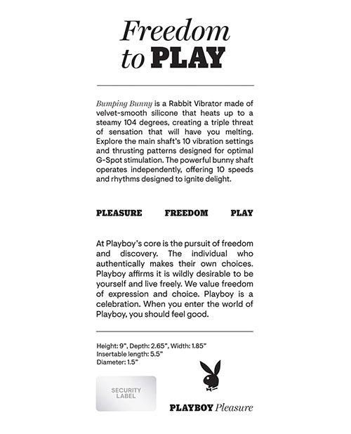 Playboy Pleasure Bumping Bunny Rabbit Vibrator Back of Box