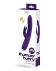Vedo Thumper Bunny Rechargeable Dual Vibe Box